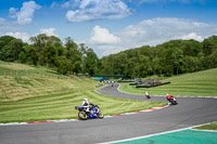 cadwell-no-limits-trackday;cadwell-park;cadwell-park-photographs;cadwell-trackday-photographs;enduro-digital-images;event-digital-images;eventdigitalimages;no-limits-trackdays;peter-wileman-photography;racing-digital-images;trackday-digital-images;trackday-photos